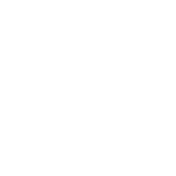 Symbol of cake w/ candle. (Icon for this section)