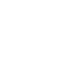 Symbol of medical sheet. (Icon for this section)